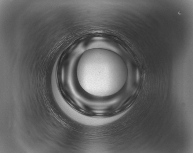 X0000086100750200703231434