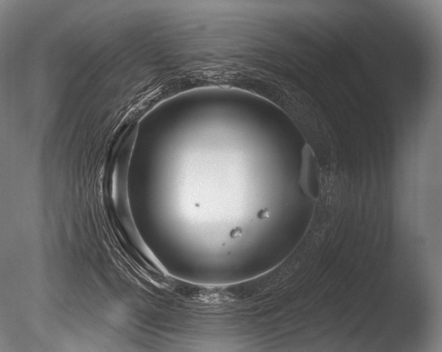 X0000086100752200703231434