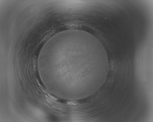 X0000086100753200703231434