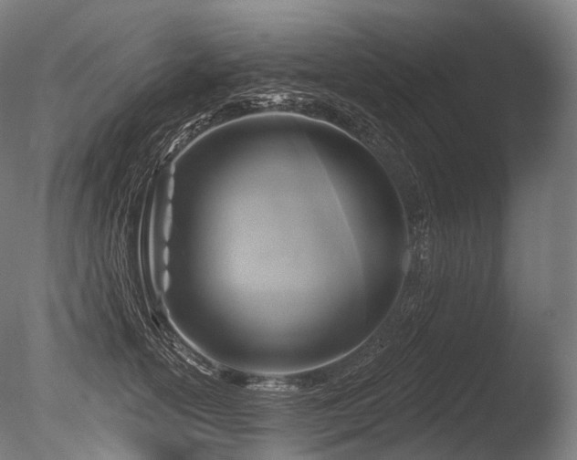 X0000086100754200703231434