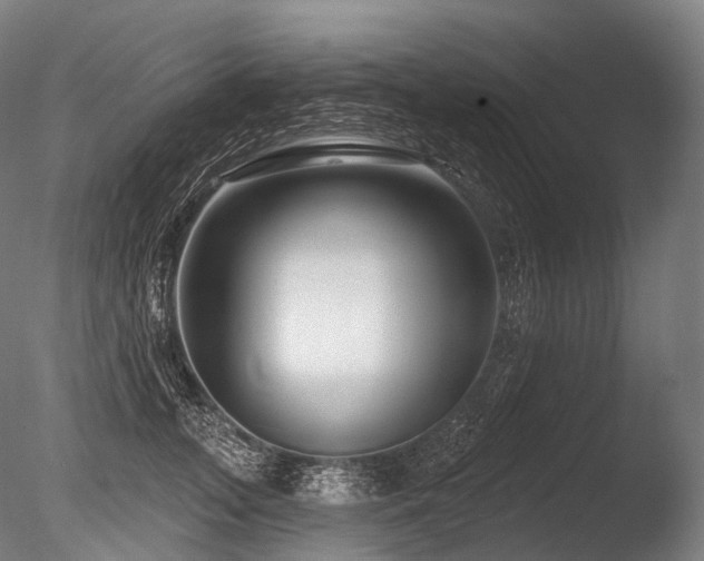 X0000086100755200703231434
