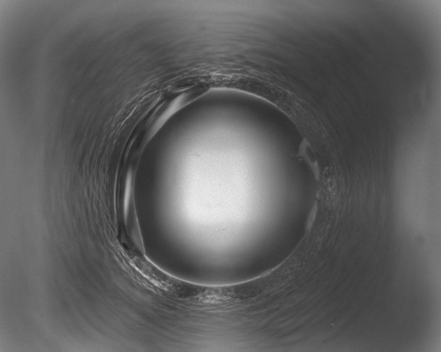 X0000086100756200703231434
