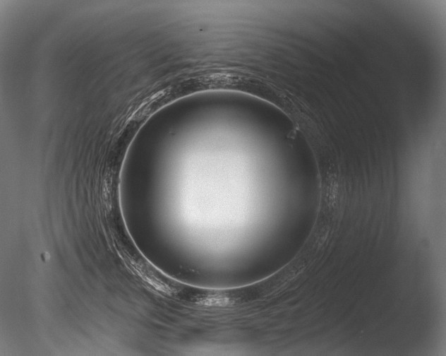 X0000086100759200703231434