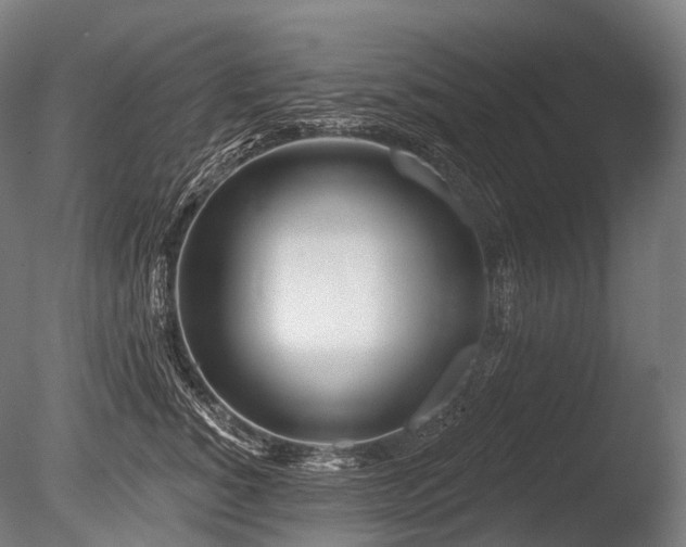 X0000086100760200703231434