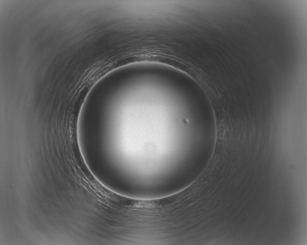 X0000086100762200703231434