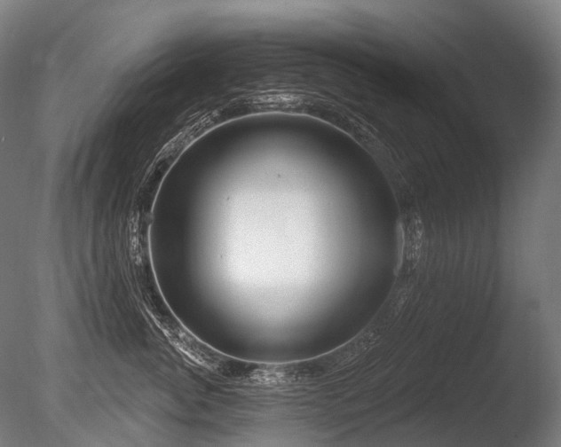X0000086100764200703231434
