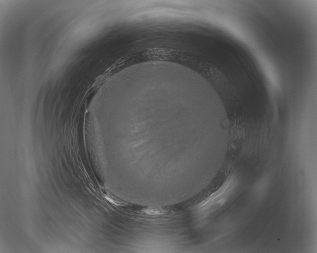 X0000086100765200703231434