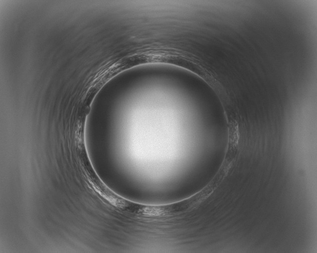 X0000086100766200703231434