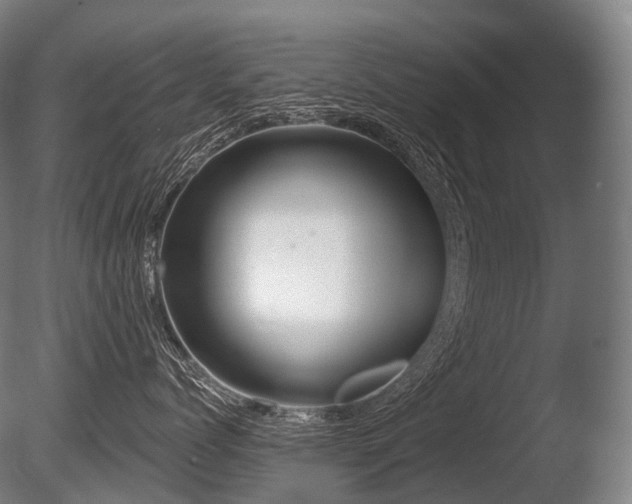 X0000086100768200703231435