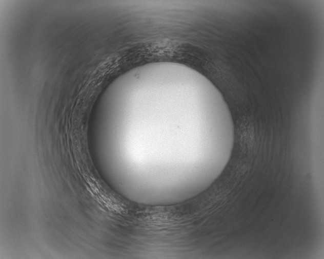 X0000086100769200703231434
