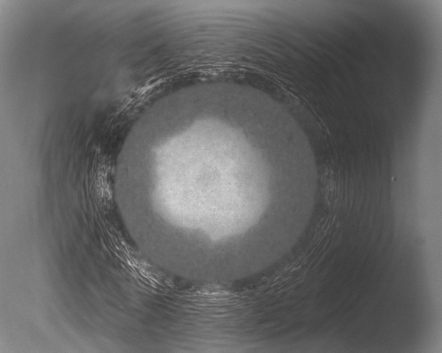 X0000086100770200703231434