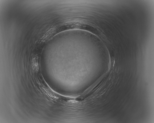 X0000086100771200703231434
