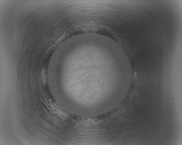 X0000086100772200703231434