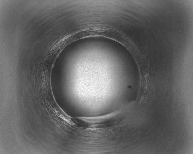 X0000086100773200703231434
