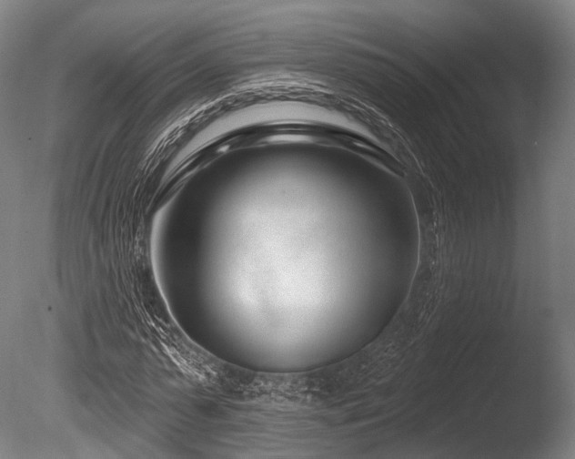 X0000086100775200703231434