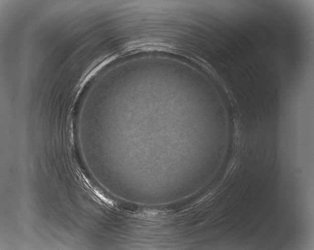 X0000086100782200703231433