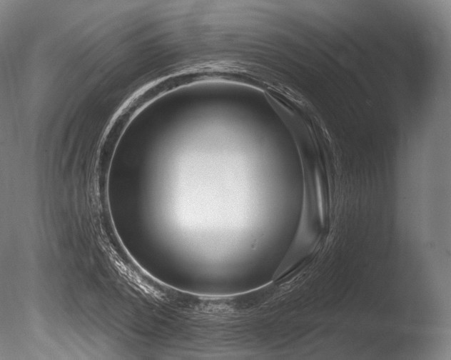 X0000086100784200703231433