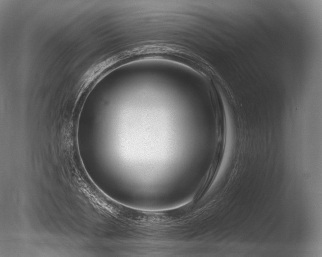 X0000086100786200703231433