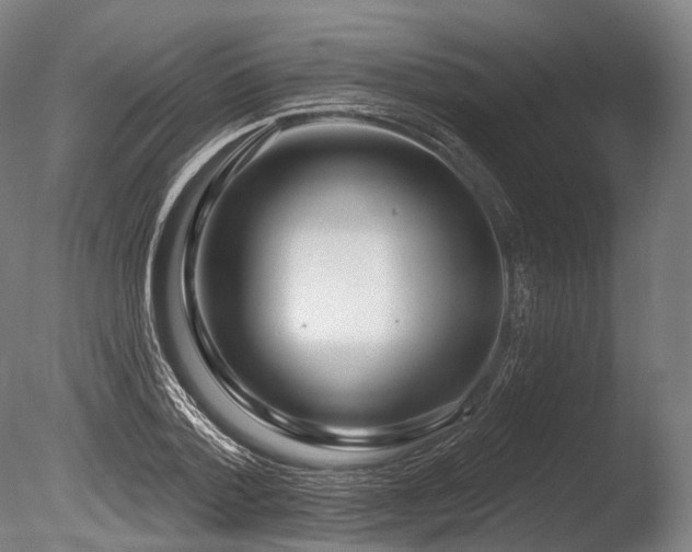X0000086100788200703231433