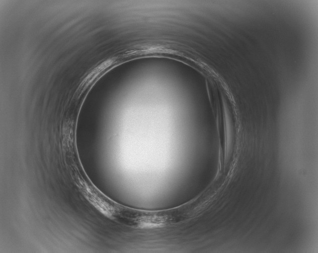 X0000086100793200703231433