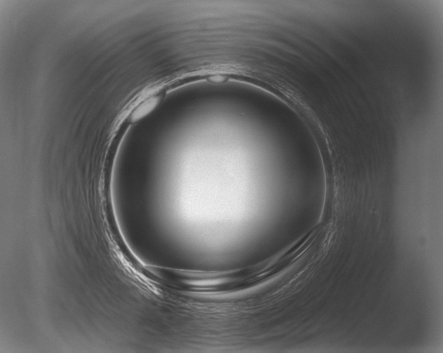 X0000086100797200703231433