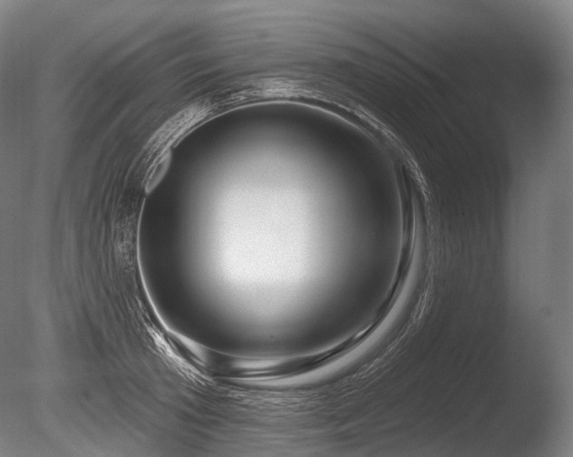 X0000086100801200703231433
