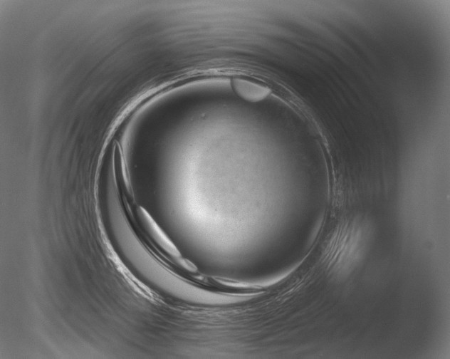 X0000086100803200703231433