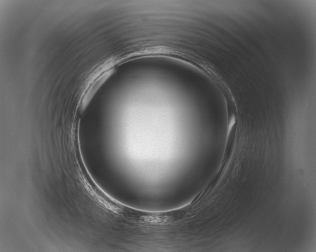 X0000086100805200703231433
