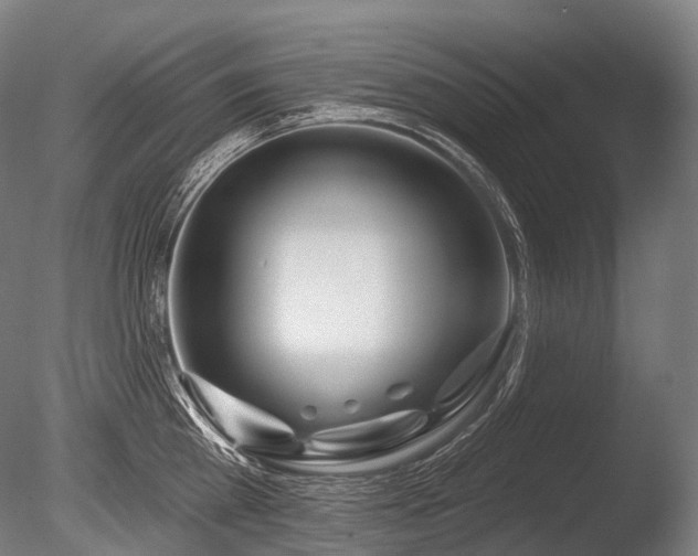 X0000086100809200703231433