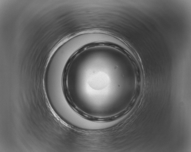 X0000086100813200703231433