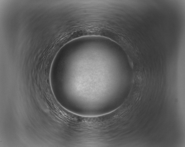 X0000086100817200703231432