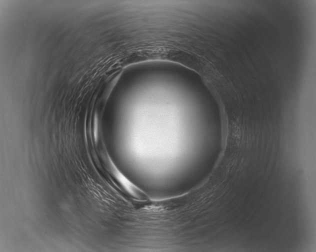 X0000086100818200703231432