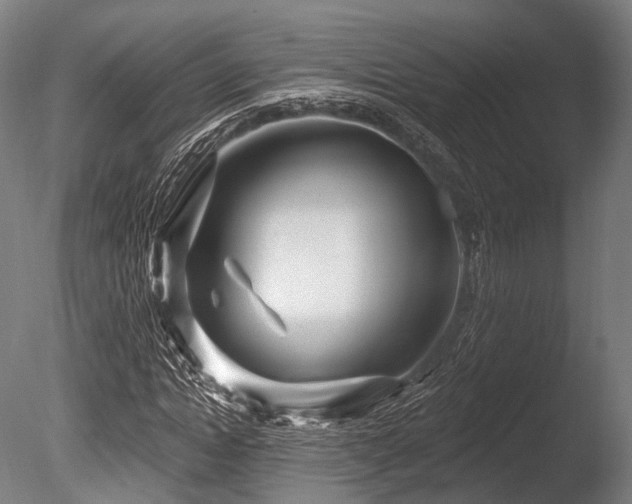 X0000086100822200703231432