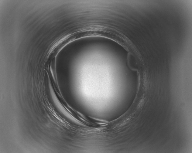 X0000086100826200703231432