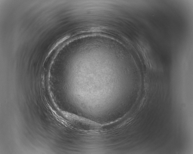 X0000086100827200703231432