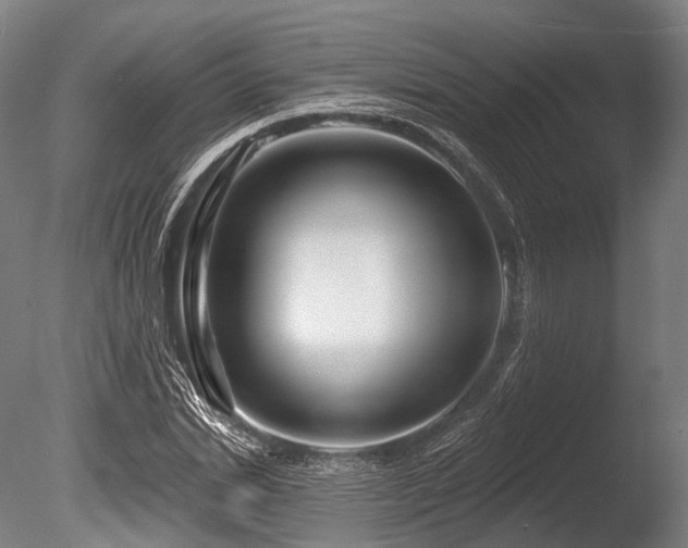 X0000086100830200703231432