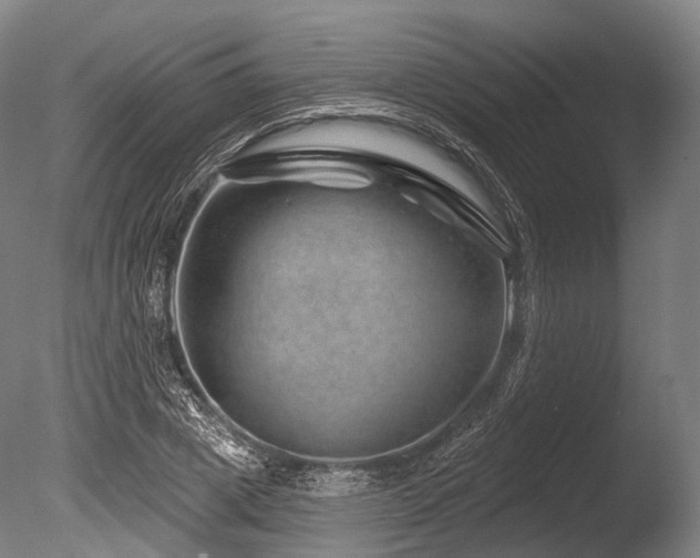 X0000086100833200703231432