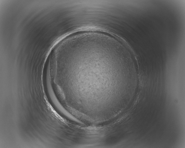 X0000086100839200703231432