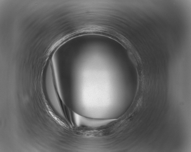 X0000086100842200703231432