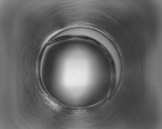X0000086100846200703231433