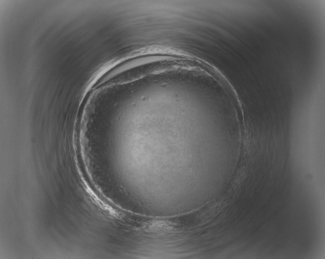 X0000086100847200703231433