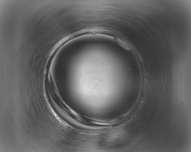 X0000086100853200703231433