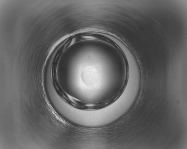 X0000086100854200703231433