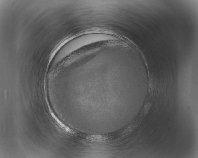 X0000086100855200703231433