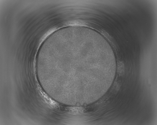 X0000086100856200703231433