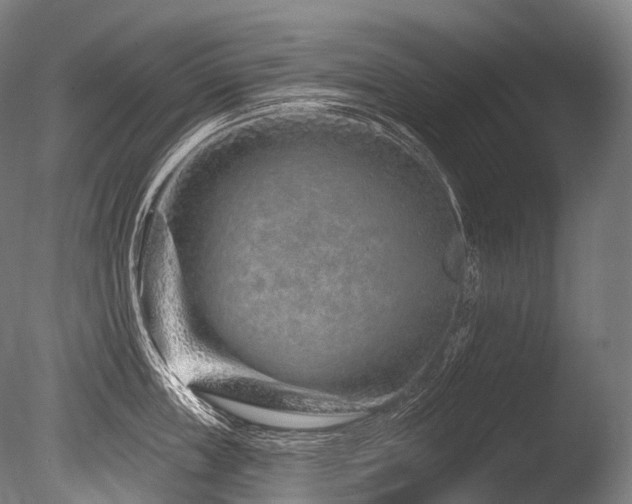 X0000086100859200703231433