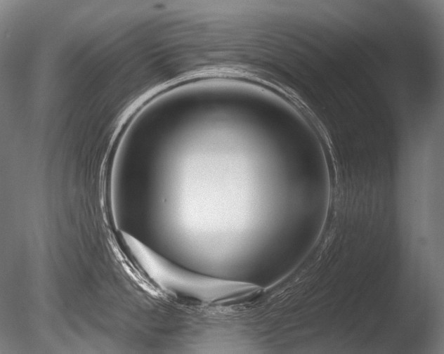 X0000086100862200703231433