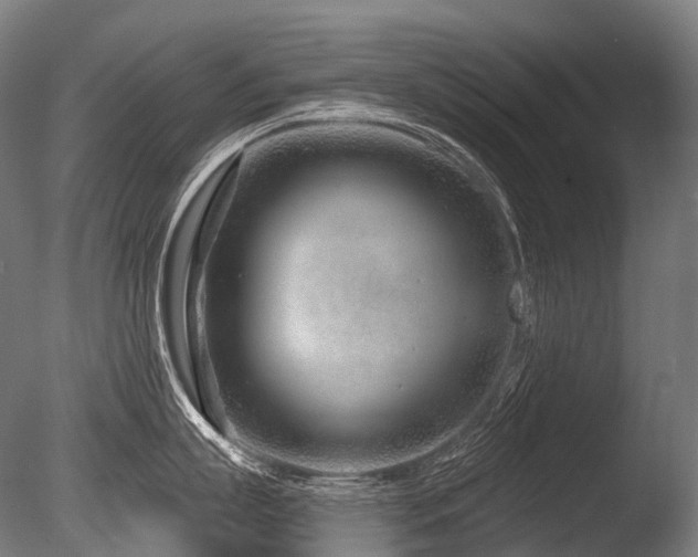 X0000086100863200703231433
