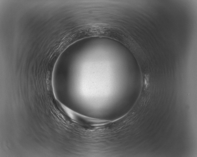 X0000086100867200703231432