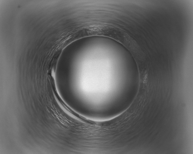 X0000086100868200703231432